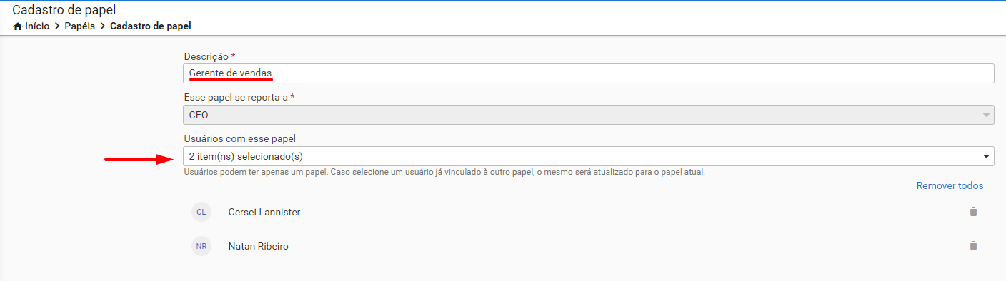 papel_gerente_de_vendas.png