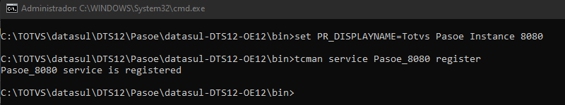 pasoe_01.png