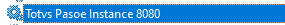 pasoe_02.png