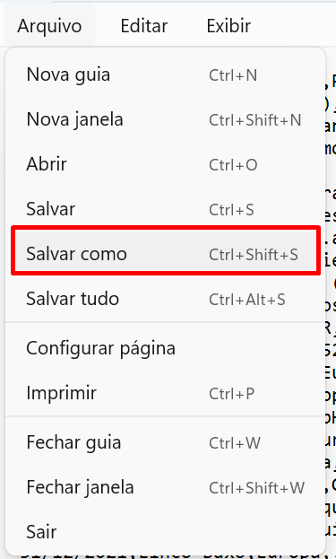 salvar_como.png