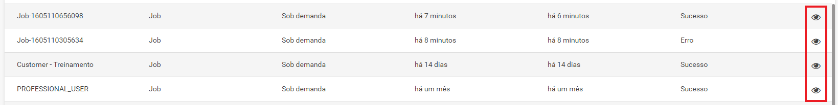 Visualizar.png