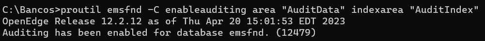 enableAuditing.png