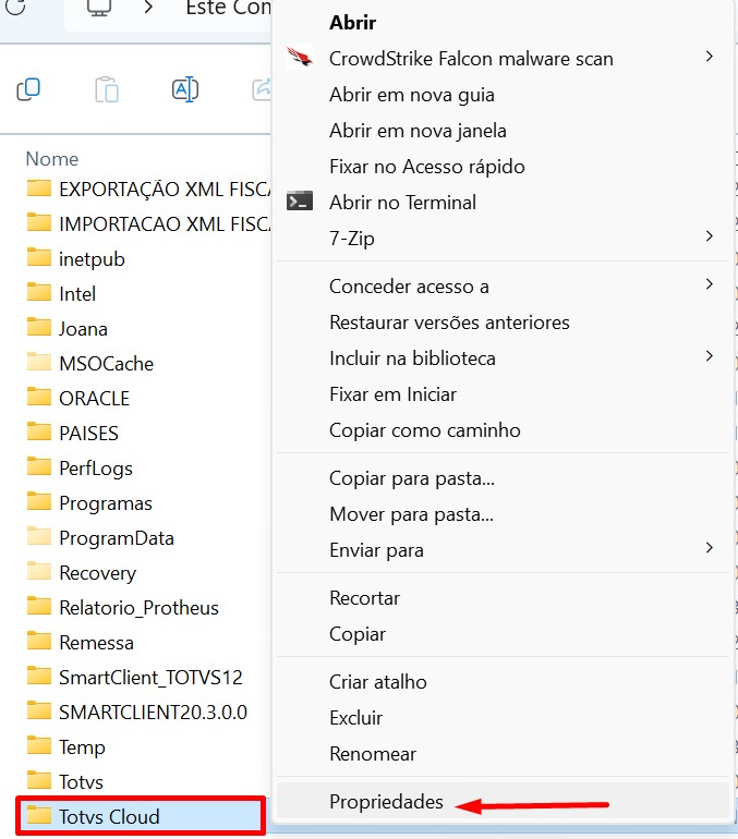 PROPRIEDADES TOTVS CLOUD.jpg