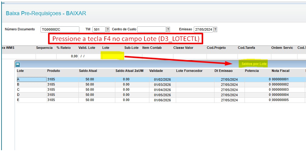 MATA185 LOTE 02.jpg