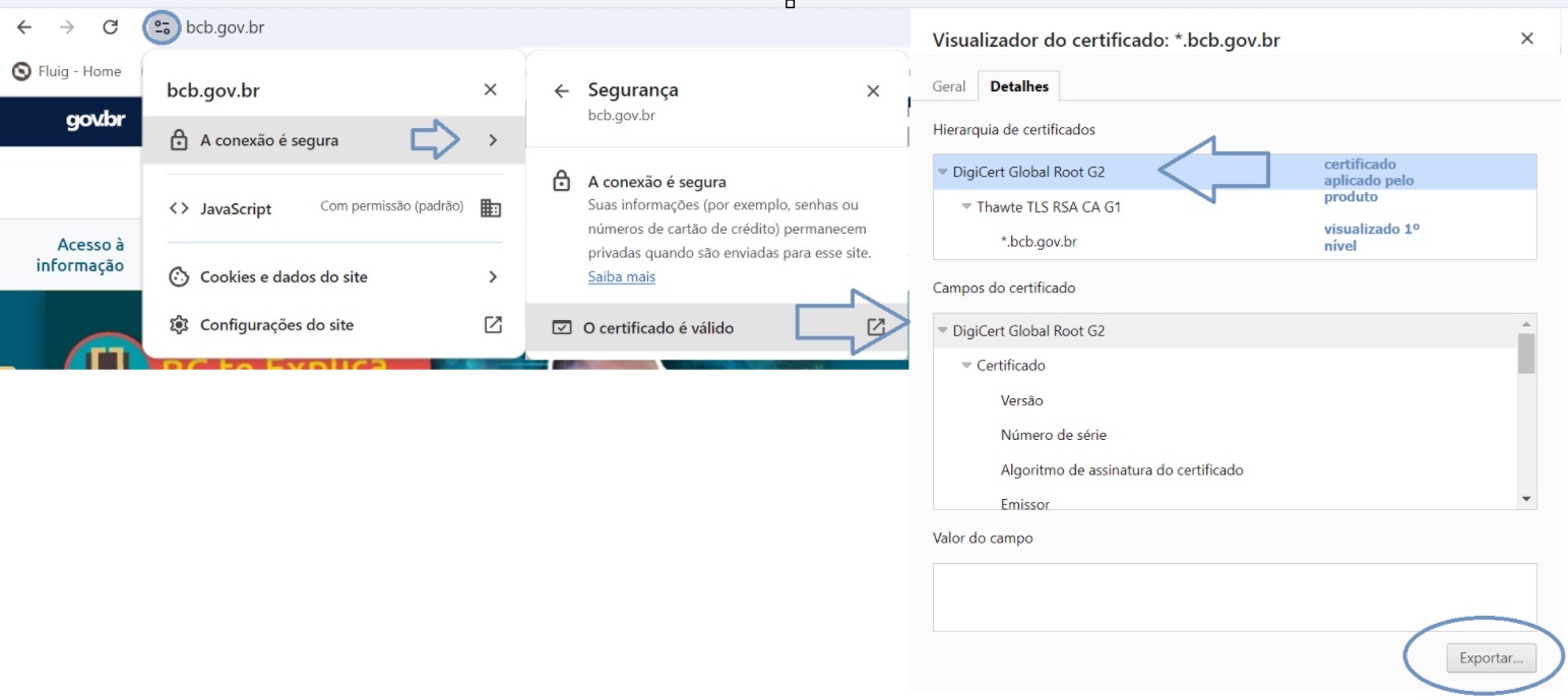 certificado-bcb.jpg