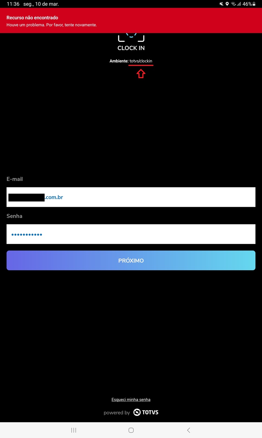 Organização.jpg