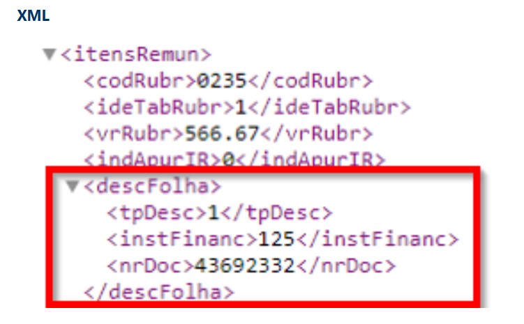 XML.jpg