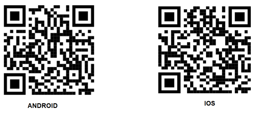 image_39284323131654005883366.png