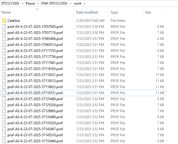 profiler-pasoe-work.png