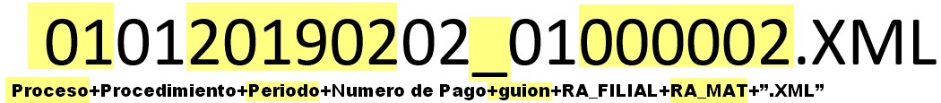 XML.jpg