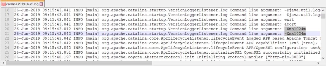 Memoria_log_tomcat.jpg