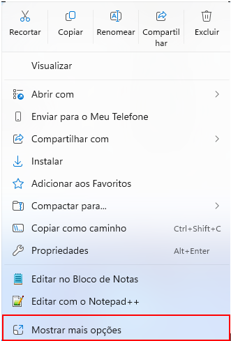 Captura de tela 2025-11-27 085058.png