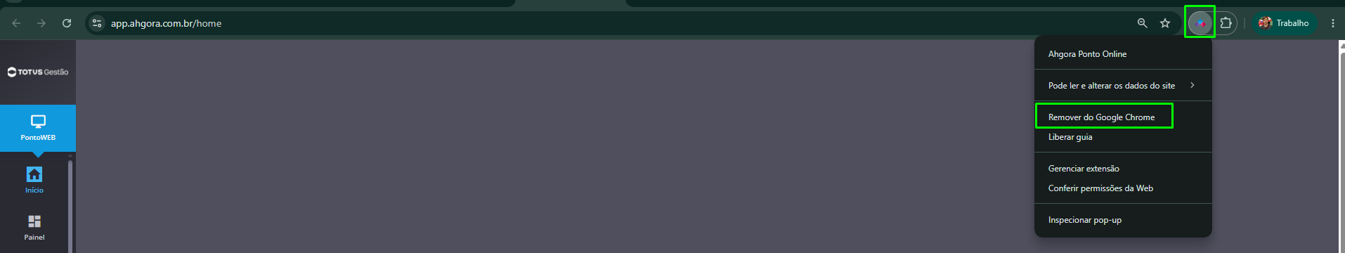 Remover_Extensão.png