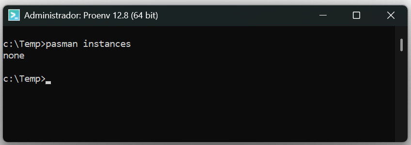 pasman_delete_instances.png