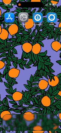 Adobe Express - ScreenRecording_08-25-2026 09-14-07_1.gif