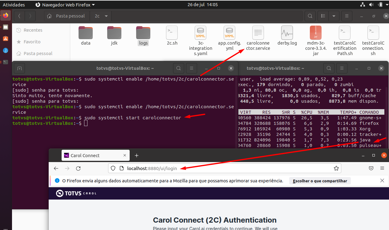 TOTVS CAROL - Carol Connect (2C) - Como Instalar, Desinstalar ou ...