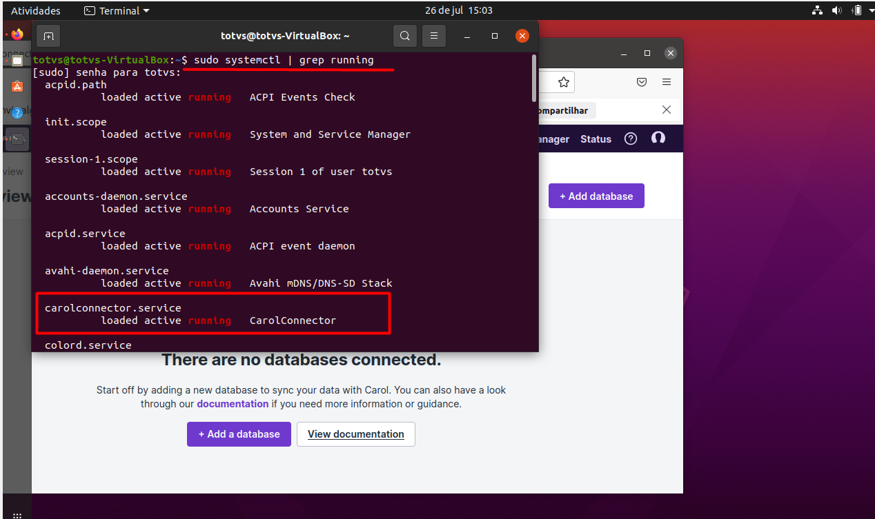 TOTVS CAROL - Carol Connect (2C) - Como Instalar, Desinstalar ou ...