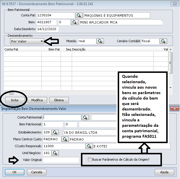 fas703-opcao_inclui.png