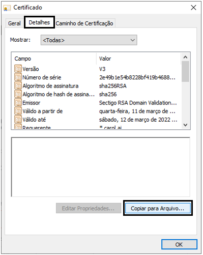 CopiarparaArquivo.png