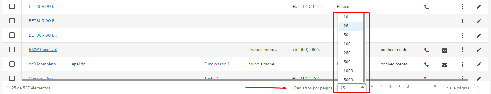 registro_por_pagina.png