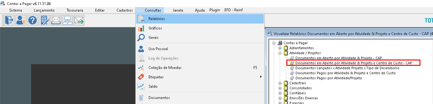 Caminho_-_rel_doc_em_aberto_por_ativ_projeto_e_centro_de_custo.png